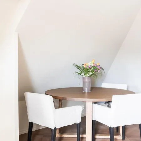 Large In Historical Street Appartement *