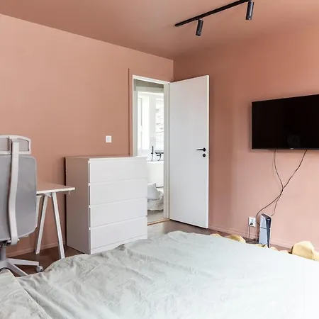 Large In Historical Street Apartment